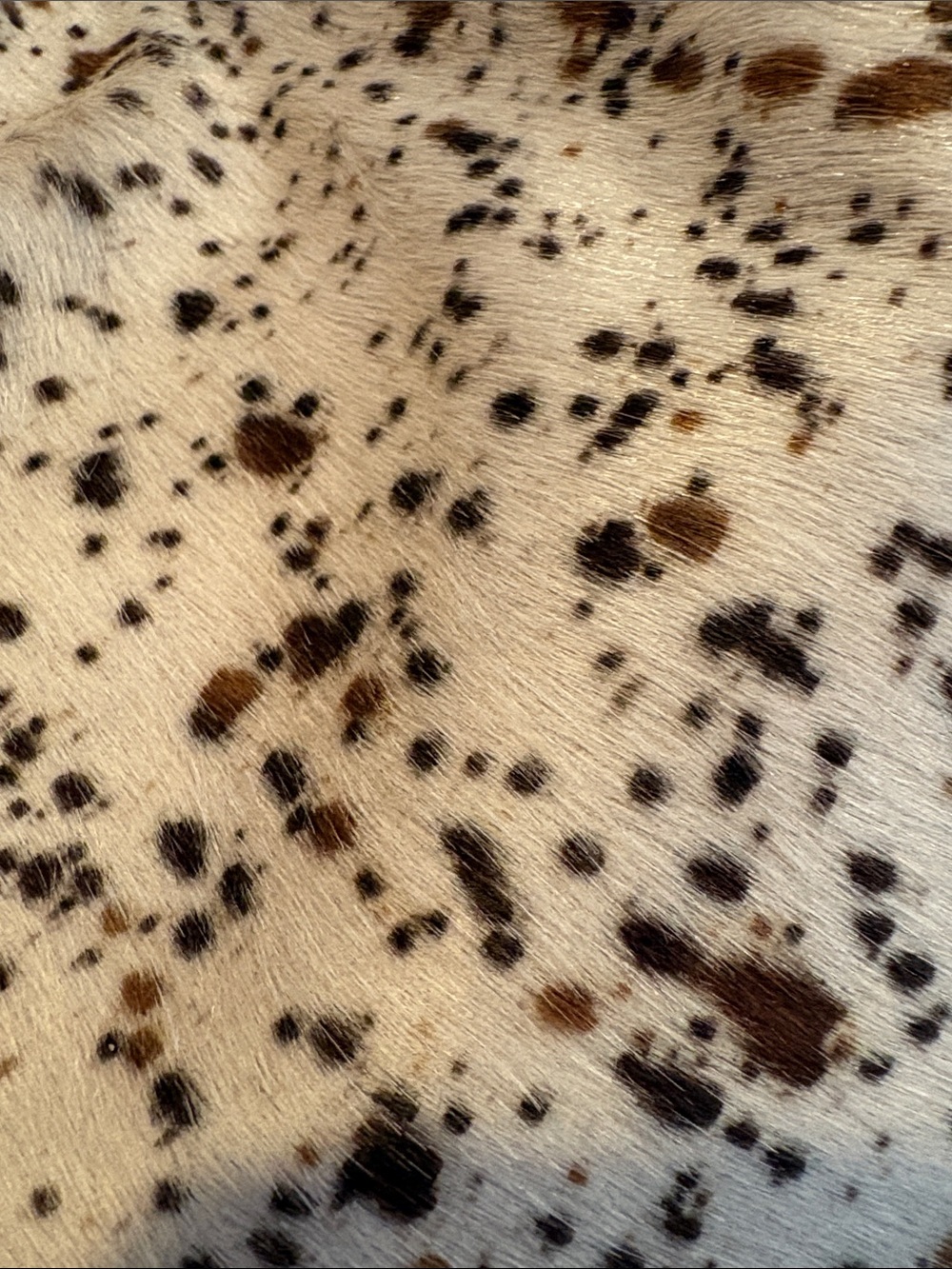 BNWT CAVALCANTI Cowhide Brown Black Speckle Shoulder Bag Genuine Italian Leather - Picture 8 of 13